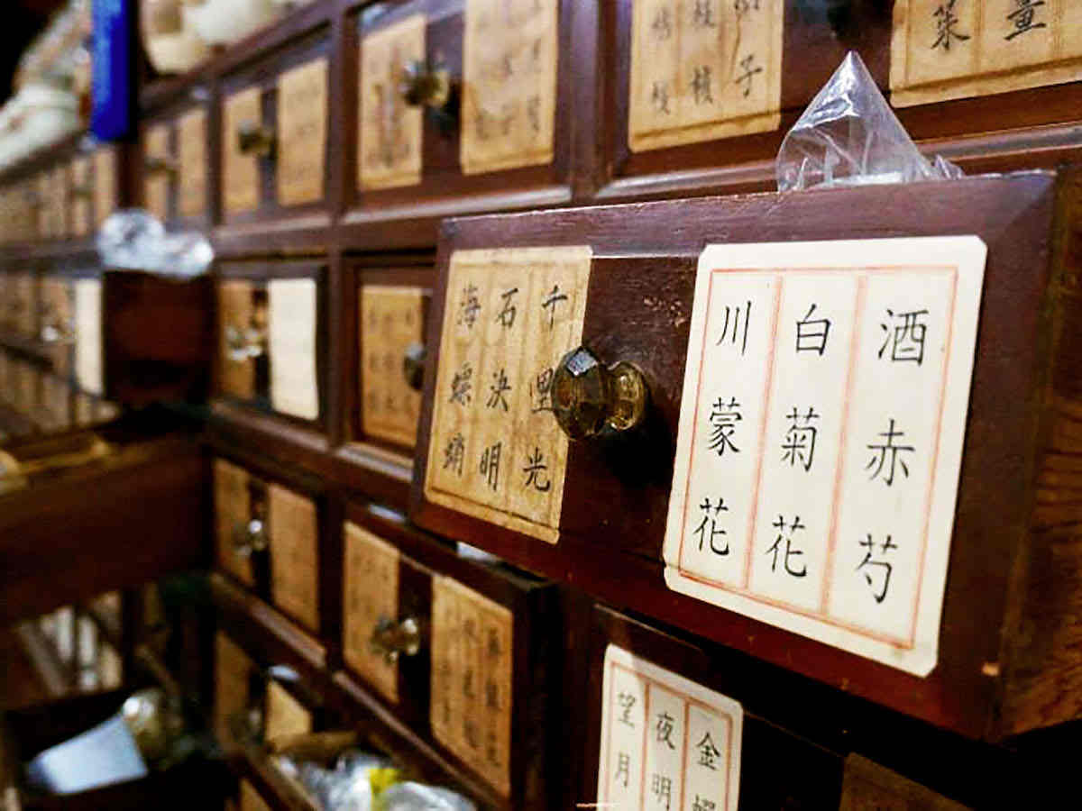 Corso Online Certificato di Introduzione alla Medicina Tradizionale Cinese