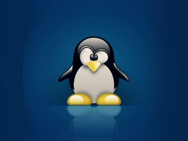 Corso Online di Sistemista Linux