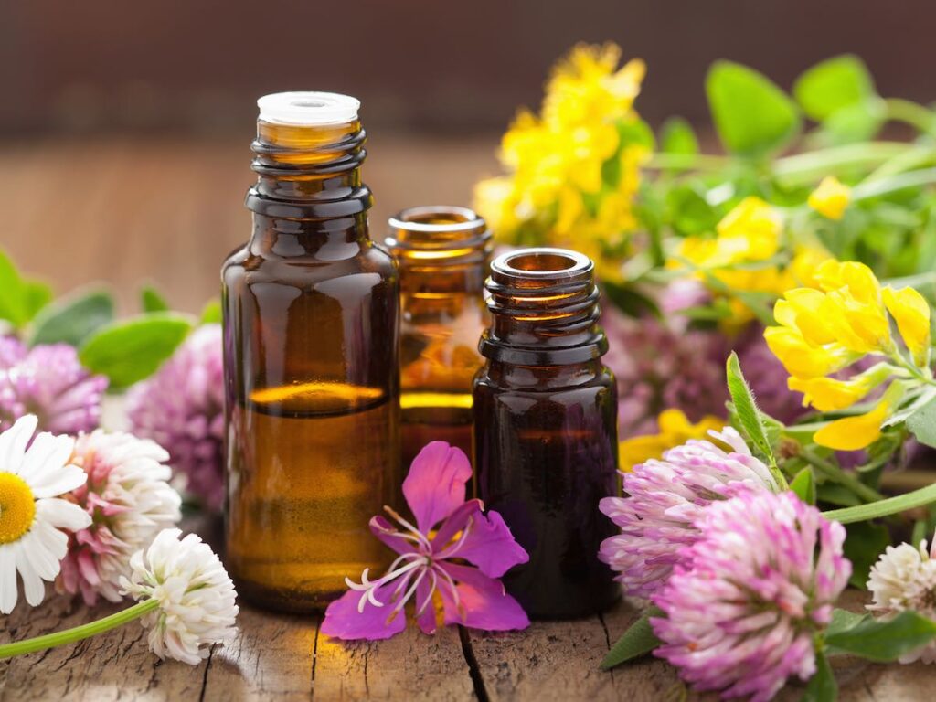 Floriterapia di Bach per Animali