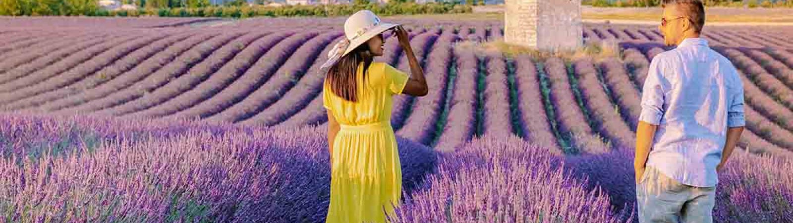 Lingua francese: Lessico B1