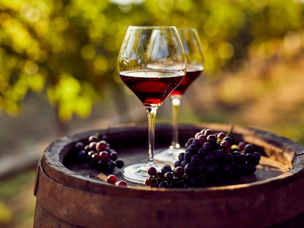 Vino e Degustazione