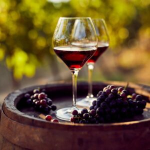 Vino e Degustazione