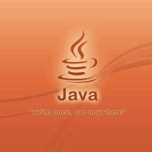 Programmatore Java