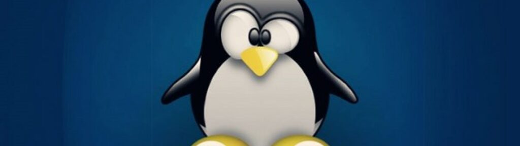 Sistemista Linux