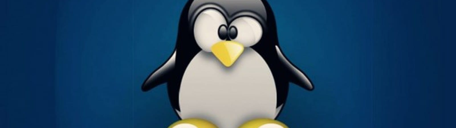 Sistemista Linux